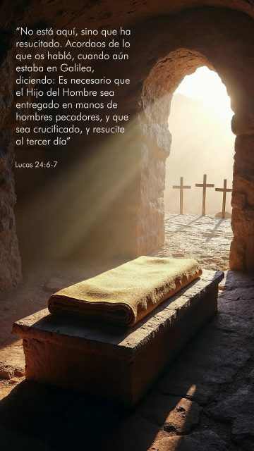 DOMINGO DE RESURRECCIÓN 🤍🙏
"No está aquí, sino que ha resucitado. Acordaos de lo que os habló, cuando aún estaba en Galilea, diciendo: Es necesario que el Hijo del Hombre sea entregado en manos de hombres pecadores, y que sea crucificado, y resucite al tercer día"
Lucas 24:6-7
#satorno
#satornocentro
#Elharesucitado
#semanasanta
#valenciavenezuela